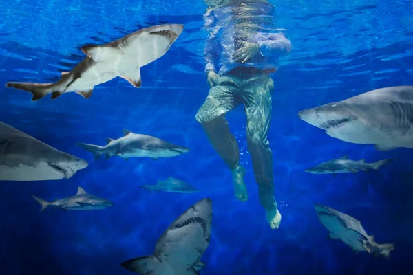 Empresario Bajo Agua Rodeado Tiburones Circundantes — Foto de Stock