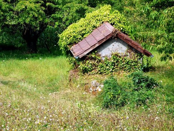 Antigua Casa Madera Bosque — Foto de Stock