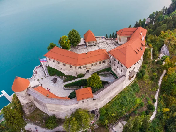 Αεροφωτογραφία Του Bled Castle Θέα Λίμνη Bled Στη Σλοβενία Ευρώπη — Φωτογραφία Αρχείου