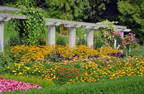 美丽的花园 有花朵和植物 — 图库照片