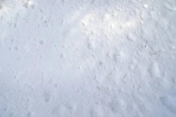 Beyaz Kar Dokusu Arkaplanı — Stok fotoğraf