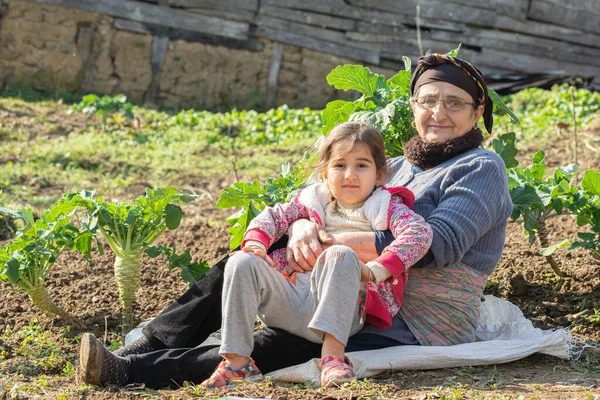 一个小女孩和她的高级穆斯林祖母在卷心菜花园里的画像 — 图库照片