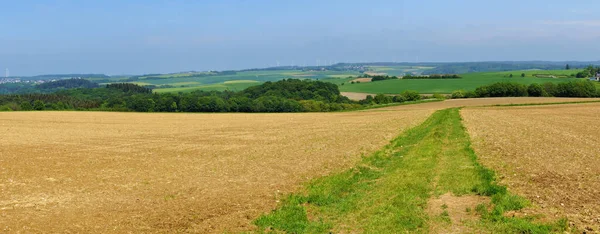 Ländliche Landschaft Mit Grünen Feldern Und Blauem Himmel — Stockfoto