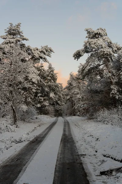 Caminho Agrícola Perto Aldeia Osterfeld Allendorf Eder Inverno — Fotografia de Stock