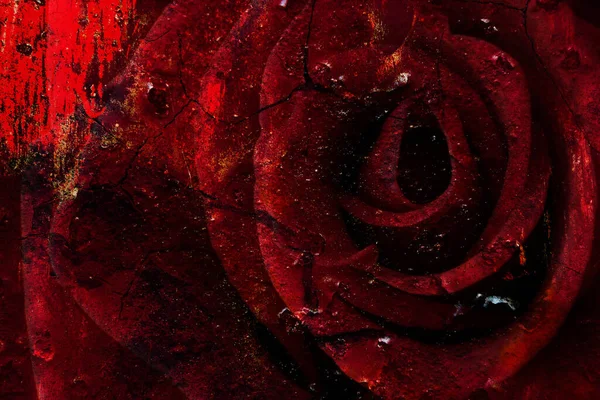 Rosa Vermelha Misteriosa Com Rachaduras Escuras Restos Tinta Para Fundo — Fotografia de Stock