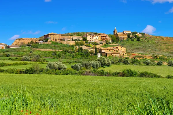 Prachtig Uitzicht Stad Siena Italië — Stockfoto