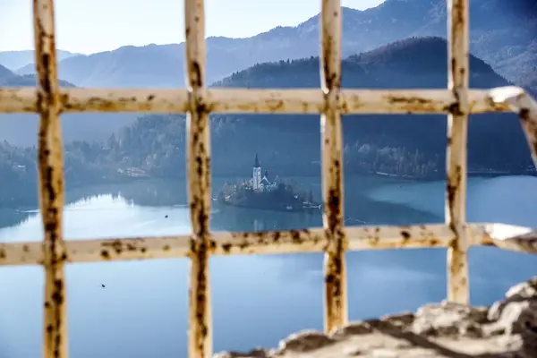 View Castle Blade Lake Slovenia Whith Metal Grid — Stock Photo, Image