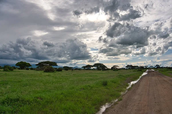 Paisaje Del Parque Nacional Tsavo Este Tsavo Oeste Amboseli — Foto de Stock