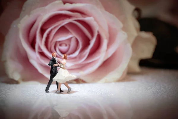 Miniature Couple Dancing Front Pink Rose Stock Picture