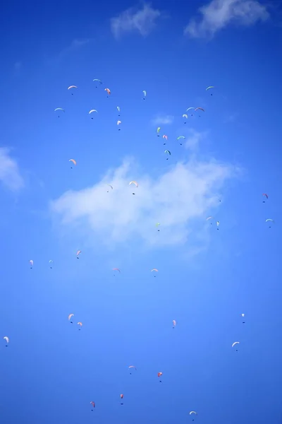 Πολλά Ιπτάμενα Para Ανεμόπτερα Γαλάζιο Ουρανό — Φωτογραφία Αρχείου
