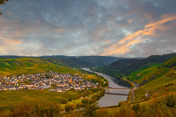 Paysage Viticole Près Cochem Leiwen Sur Moselle — Photo
