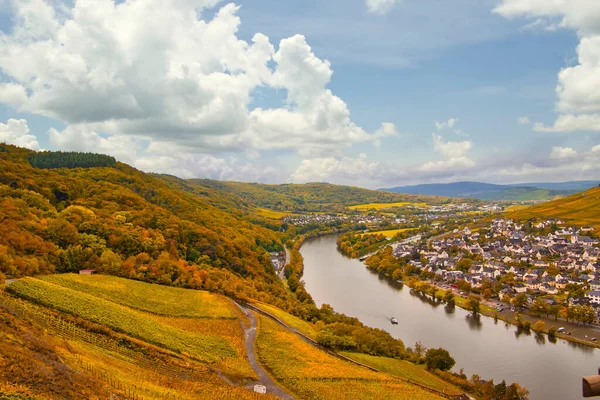 Borvidék Közelében Cochem Leiwen Moselle — Stock Fotó