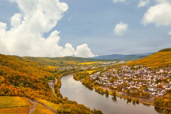 Vinařská Krajina Blízkosti Cochem Leiwen Moselle — Stock fotografie