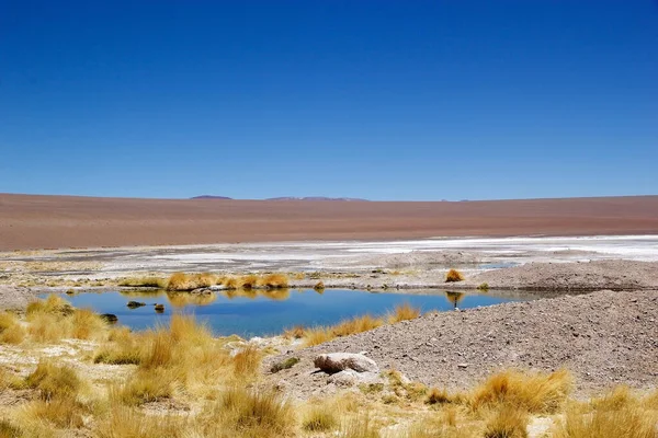 アルゼンチンのプナ アタカマにあるサラーデ アリザロの小さな湖 アリザロの塩はアルゼンチン北西部のアンデス山脈の大規模な塩層で 面積は1600 Kmです — ストック写真