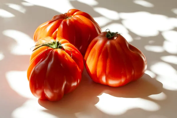 Pomodori Freschi Fondo Bianco — Foto Stock