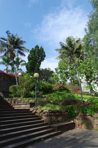 Mooie Tropische Tuin Met Palmbomen Groene Bladeren — Stockfoto