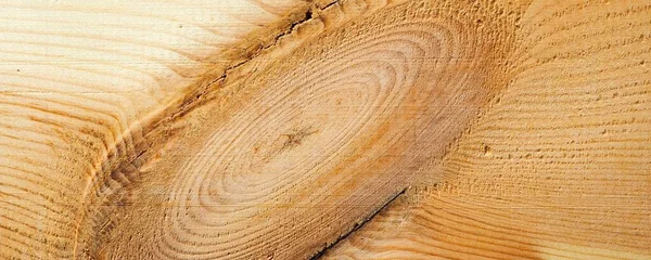 Zblízka Dřevěného Pozadí — Stock fotografie