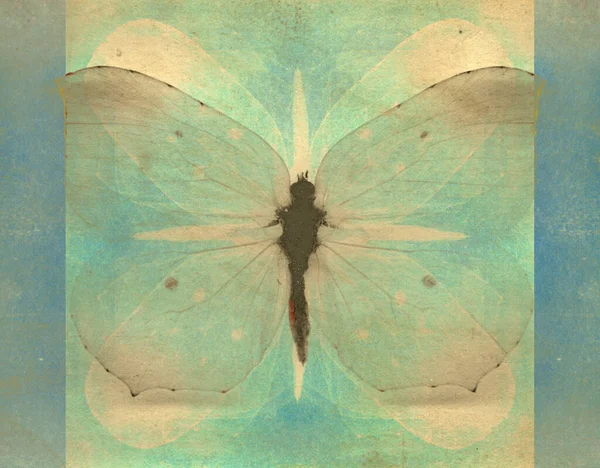 Vintage Butterfly Faded Blue Green Background — Stock Photo, Image