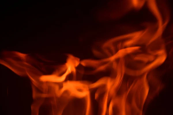 Ogień Kominku Pożar Lasu Prowincja Alicante Costa Blanca Hiszpania — Zdjęcie stockowe