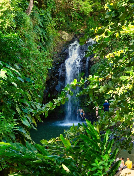 Wasserfall Wald — Stockfoto