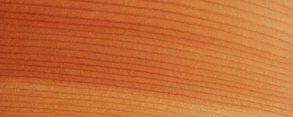 Close Wooden Background — Stock Photo, Image