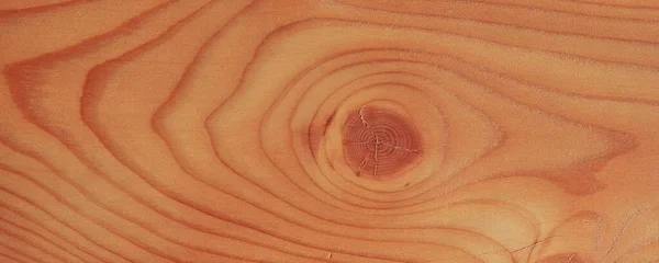 Tekstura Drewna Tło Naturalnymi Wzorami — Zdjęcie stockowe