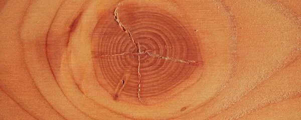 Υφή Του Δέντρου Ξύλο Είναι Ένα Μοτίβο Του Σπιτιού Και — Φωτογραφία Αρχείου