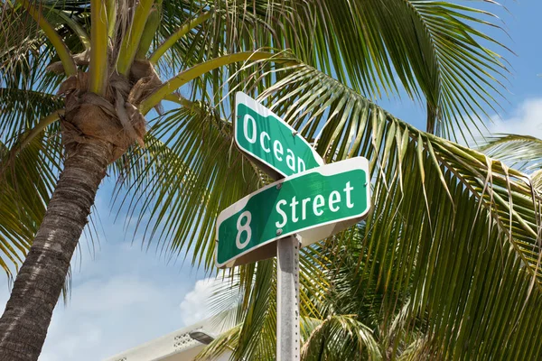 Street Sign Famous Street Ocean Drive Street Pálmafa Art Deco — Stock Fotó