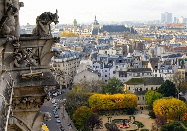 Chimeras Waterspuwers Van Kathedraal Notre Dame Paris Met Uitzicht Parijs — Stockfoto