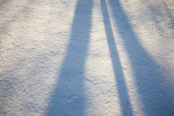 Las Sombras Los Árboles Del Bosque Superficie Blanca Nieve Invierno —  Fotos de Stock