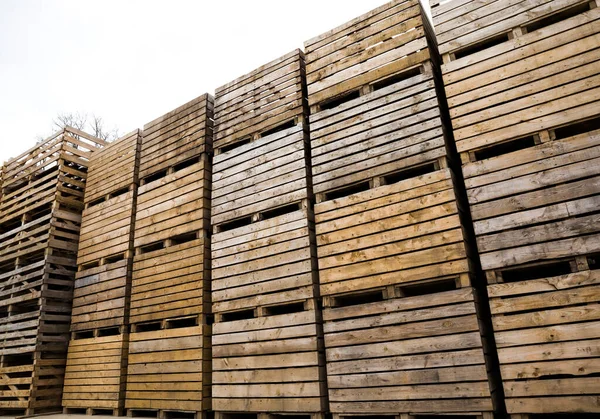 Zusammengefaltete Leere Holzkisten Lagerhallen Kisten Sind Für Die Ernte Von — Stockfoto