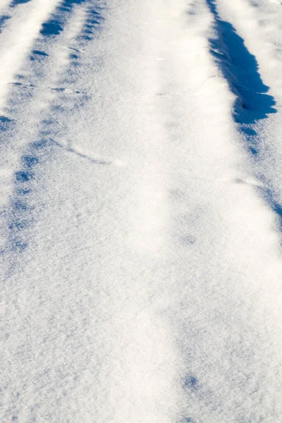 Droga Pokryta Śniegiem Lesie Zimowym — Zdjęcie stockowe