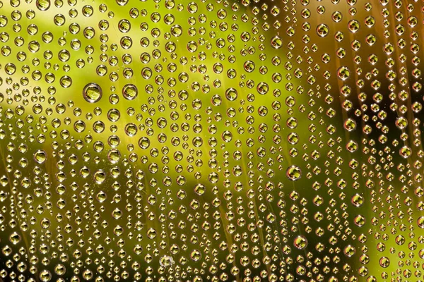 Wassertropfen Auf Glas — Stockfoto