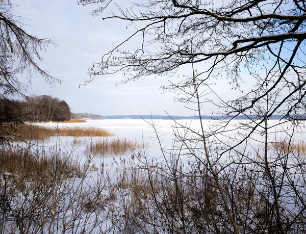 Fényes Park Napsütéses Időjárás Napsütéses Nappal Fény Megvilágítja Kristályok Fagy — Stock Fotó