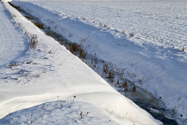 Dun Gewoon Beekje Bedekt Met Sneeuw Een Dun Laagje Ijs — Stockfoto