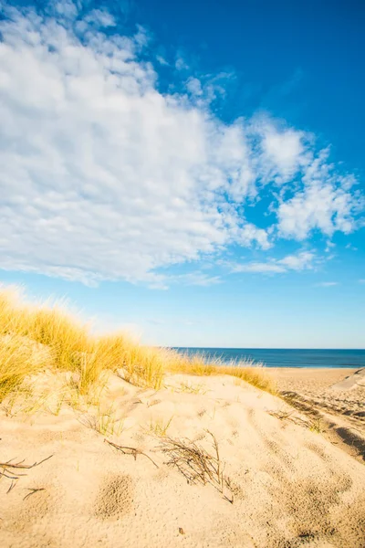 Пляжі Балтійського Моря Пляжу Трави — стокове фото