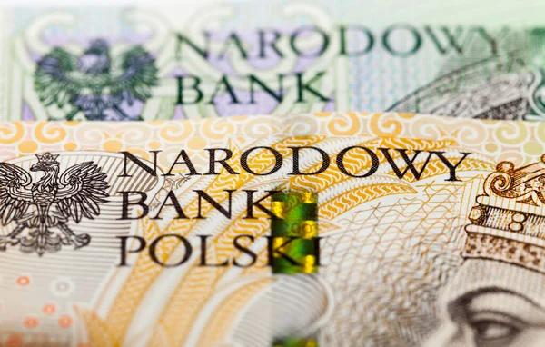 100 Polonyalı Zloti Değerinde Yeni Bir Banknot Yakın Plan Polonya — Stok fotoğraf