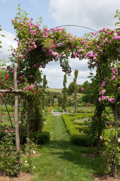 Callejón Romántico Pérgola Rosas Jardín Sutil Lleno Sabor Castillo Chatonniere —  Fotos de Stock