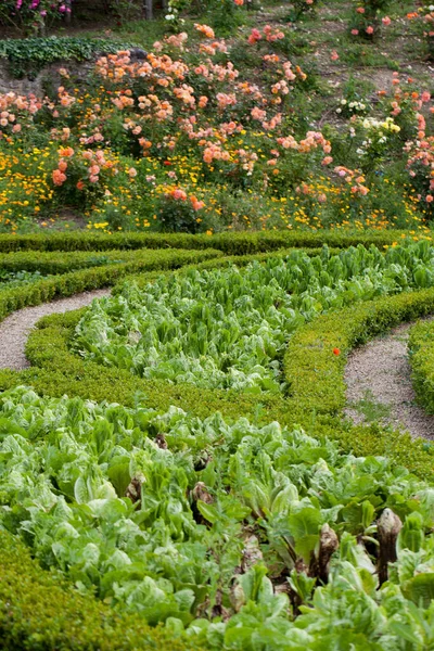 Giardino Castello Chatonniere Vicino Villandry Dal Gusto Sottile Sofisticato Pieno — Foto Stock