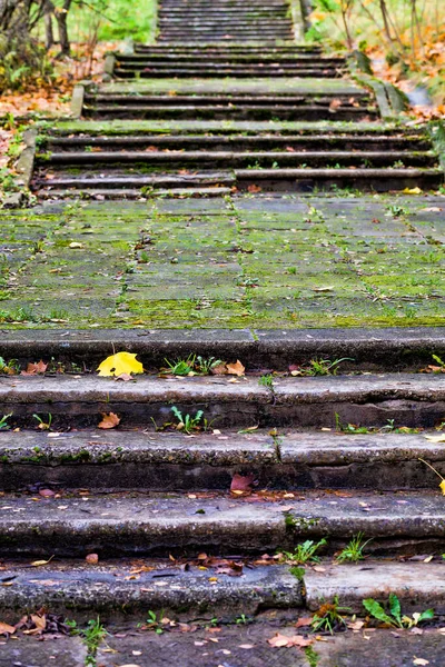 Vieja Escalera Hecha Hormigón Escombros Primer Plano Parque Antigua Estructura — Foto de Stock