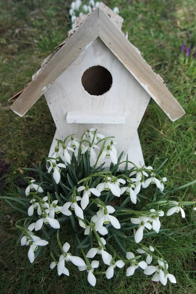 Beautiful Bird House Garden — Stock Photo, Image