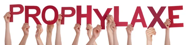 People Hands Holding Colorful German Word Prophylaxe Means Prophylaxis Fondo — Foto de Stock