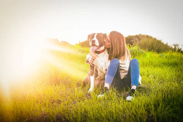 Schöne Junge Frau Küsst Hund Auf Dem Feld American Staffordshire — Stockfoto