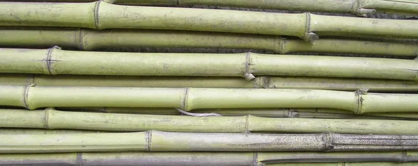 Old Bamboo Fence Background — Stock Photo, Image