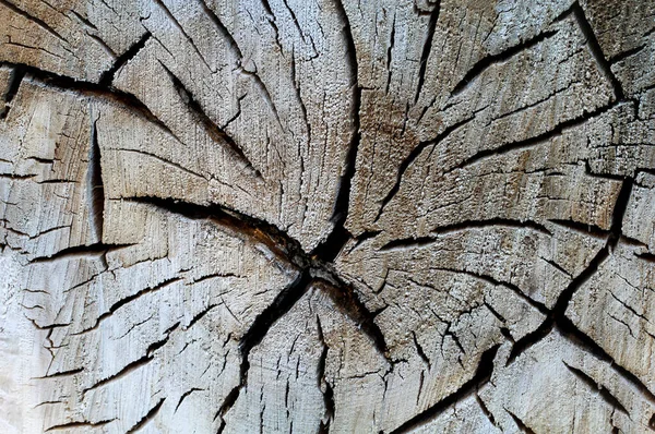 Szczelnie Deska Kawalek Drewna Drewniana Faktura — Zdjęcie stockowe
