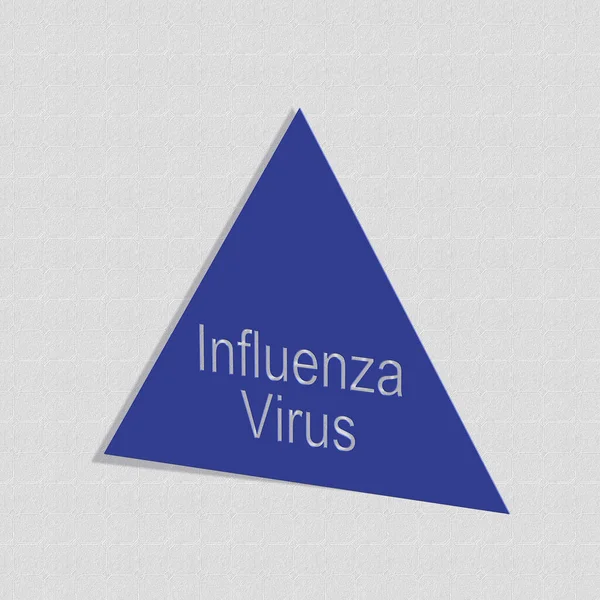 Influenza Virus Word Text Illustration Rendering — Stock Photo, Image