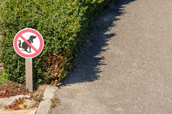 Panneau Routier Avec Sentier Dans Parc — Photo