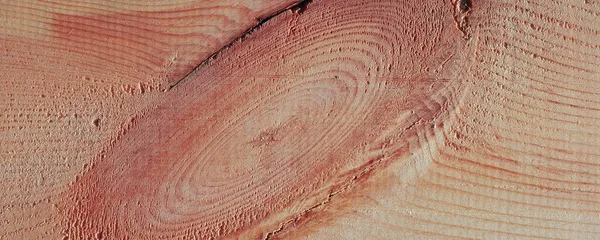 木の板の質感と木の模様 — ストック写真