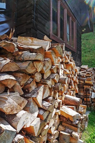 Drewno Opałowe Lesie — Zdjęcie stockowe