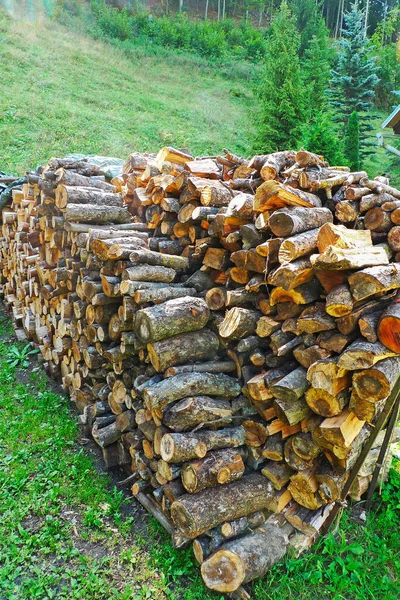 Stos Drewna Opałowego Ułożone Lesie — Zdjęcie stockowe
